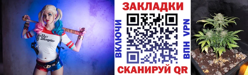 Виды наркотиков купить Княгинино Амфетамин Галлюциногенные грибы Меф ГАШ Кокаин Канабис