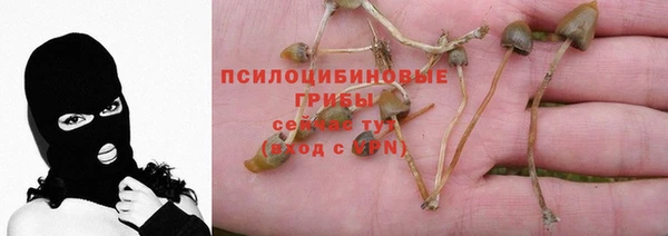 МДПВ Белокуриха